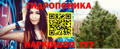 бошки Дубна