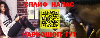 бошки Дубна