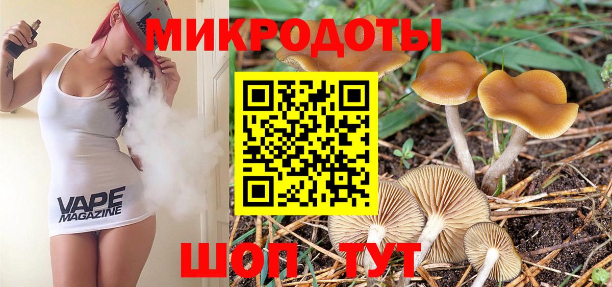 Галлюциногенные грибы GOLDEN TEACHER Новоалтайск