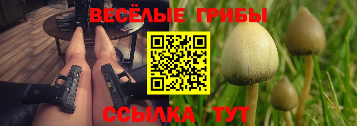 Псилоцибиновые грибы Psilocybe  Галлюциногенные грибы мухоморы  Вход с VPN  Новоалтайск 